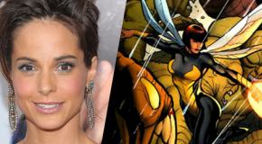 Sehen wir Wasp in Iron Man 3?